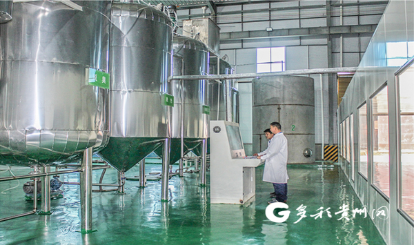 设计,生产,销售于一体的贵州乔盛生物科技有限公司,启动"10万吨油茶籽